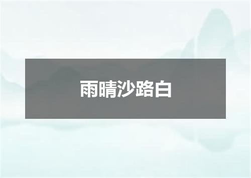 雨晴沙路白