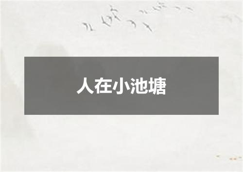人在小池塘
