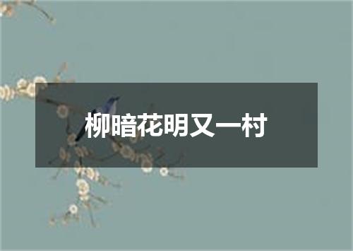 柳暗花明又一村
