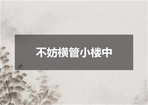 不妨横管小楼中