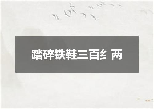 踏碎铁鞋三百纟两