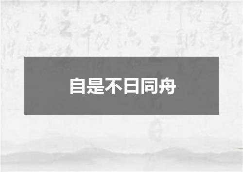 自是不日同舟