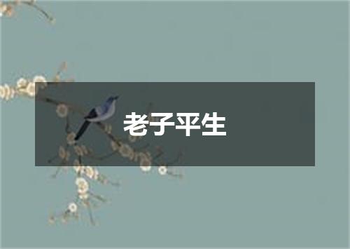 老子平生