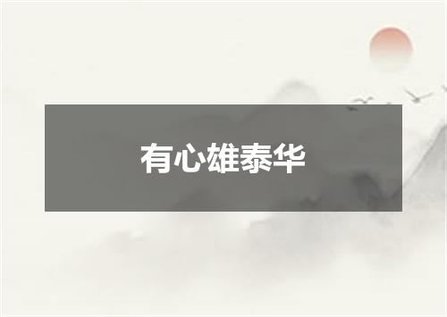 有心雄泰华