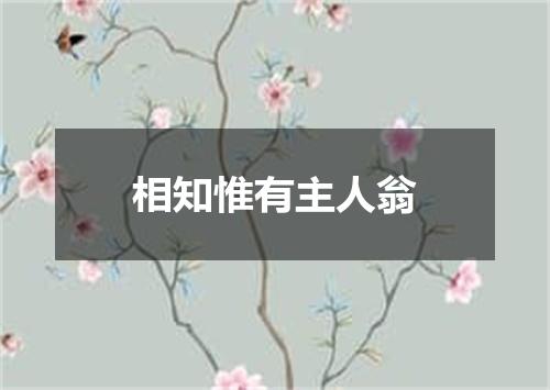 相知惟有主人翁