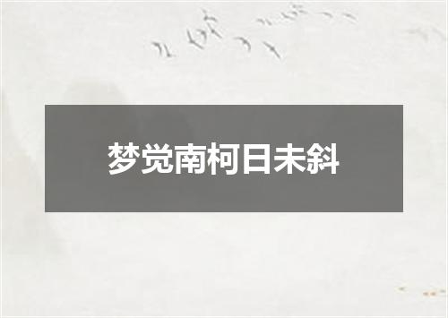 梦觉南柯日未斜