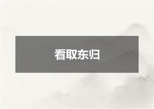 看取东归