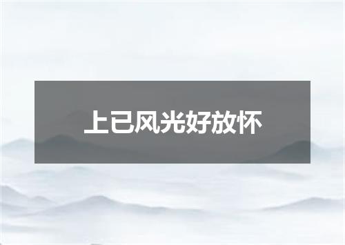 上已风光好放怀