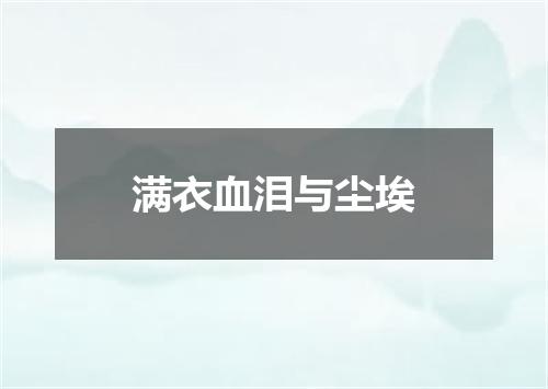 满衣血泪与尘埃