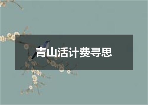 青山活计费寻思