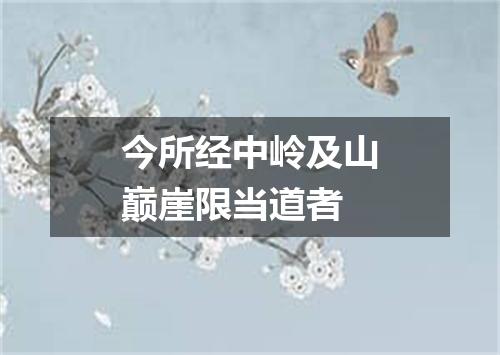 今所经中岭及山巅崖限当道者