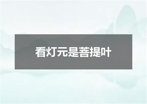 看灯元是菩提叶