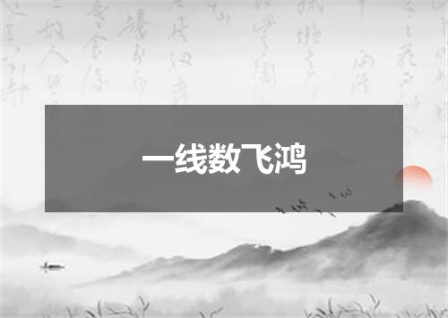 一线数飞鸿