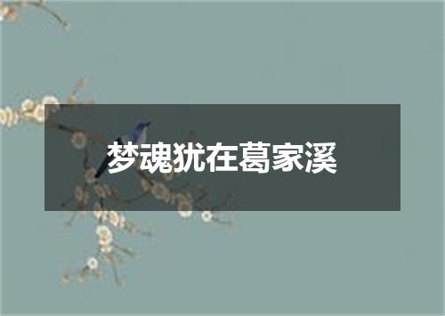 梦魂犹在葛家溪