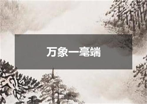 万象一毫端