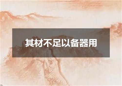 其材不足以备器用