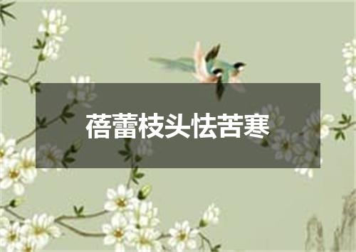 蓓蕾枝头怯苦寒