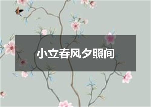 小立春风夕照间