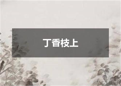 丁香枝上