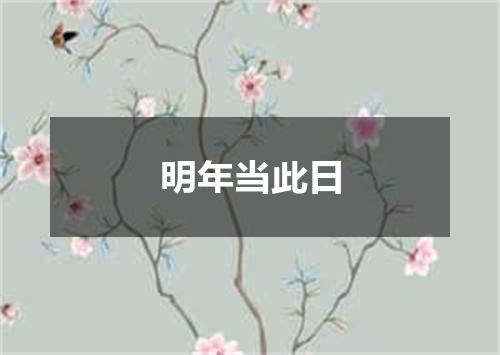 明年当此日