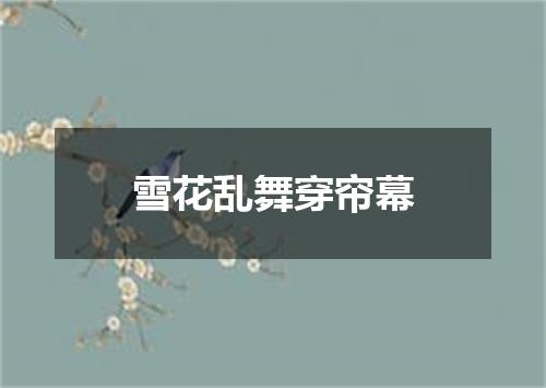 雪花乱舞穿帘幕