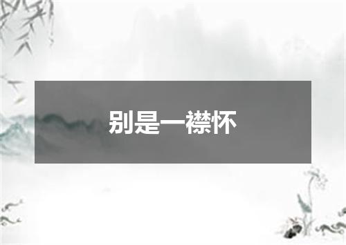 别是一襟怀