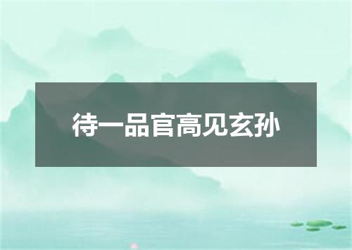 待一品官高见玄孙