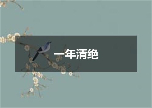 一年清绝