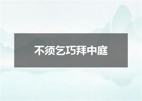 不须乞巧拜中庭
