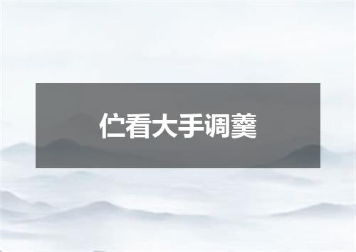 伫看大手调羹