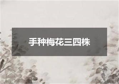 手种梅花三四株