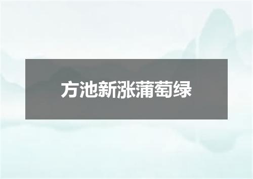 方池新涨蒲萄绿