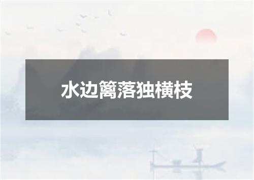 水边篱落独横枝