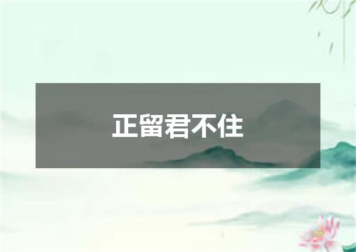 正留君不住
