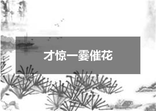 才惊一霎催花