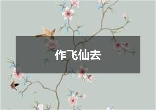 作飞仙去