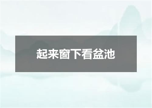 起来窗下看盆池
