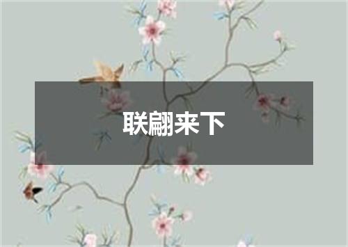 联翩来下