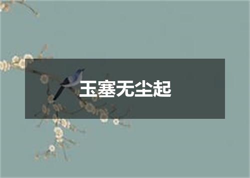 玉塞无尘起