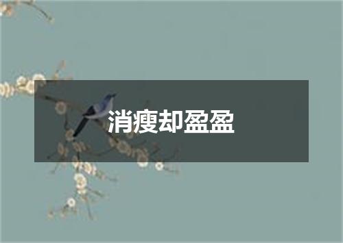 消瘦却盈盈