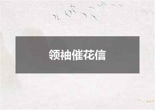领袖催花信