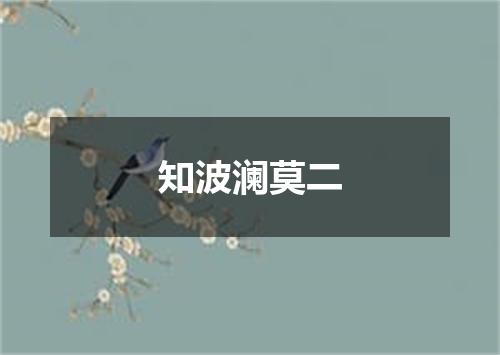 知波澜莫二