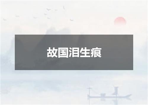 故国泪生痕