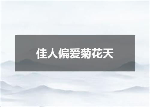 佳人偏爱菊花天