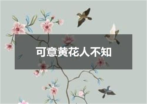 可意黄花人不知