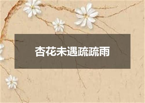 杏花未遇疏疏雨