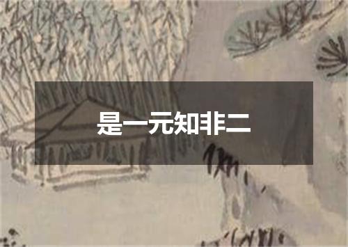 是一元知非二