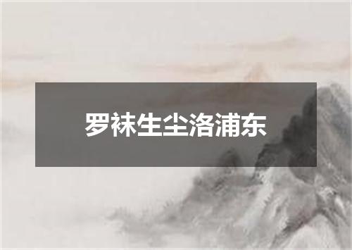 罗袜生尘洛浦东
