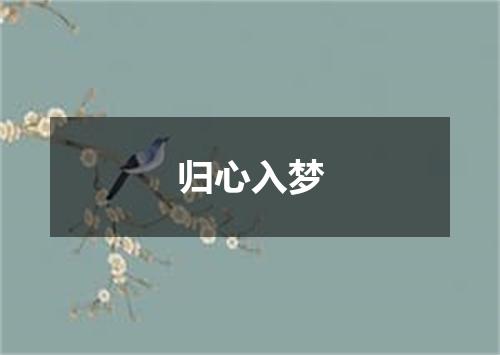 归心入梦