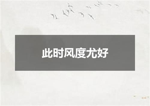 此时风度尤好